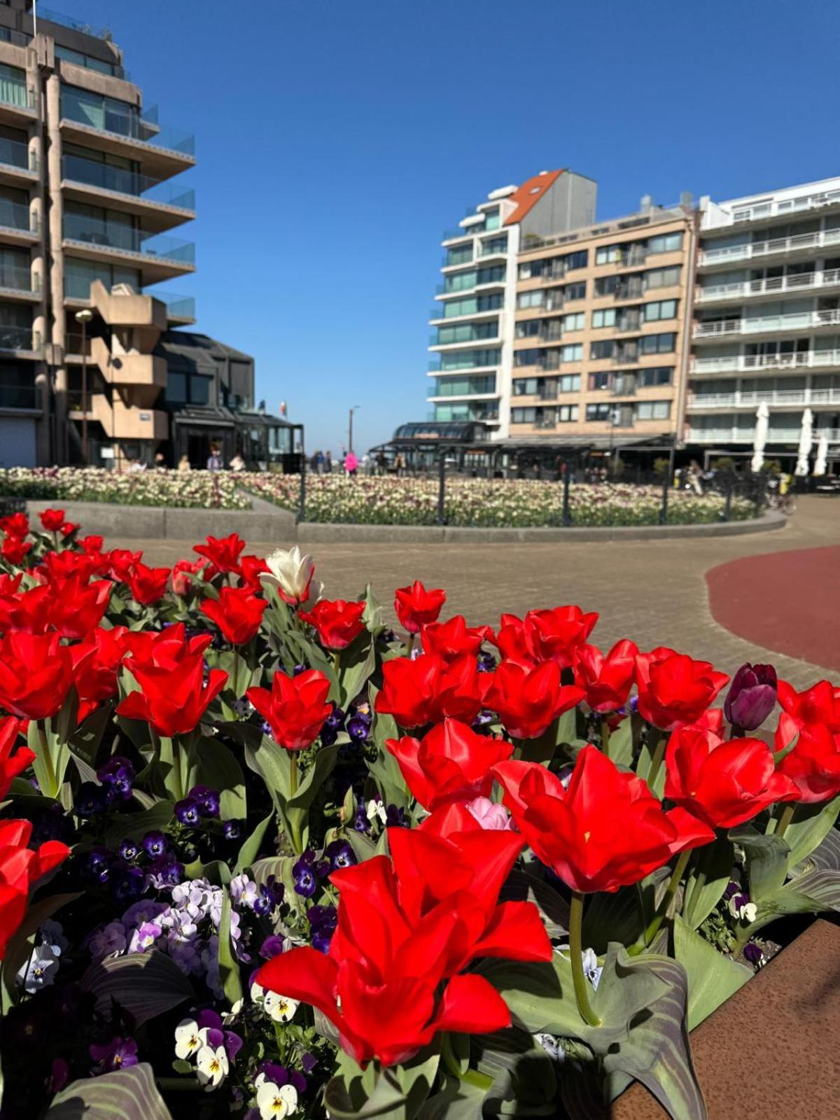 Appartement Luxe Studio/suite Met Zeezicht En Volle Zon